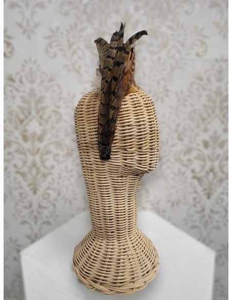 Alquilar diadema Nature