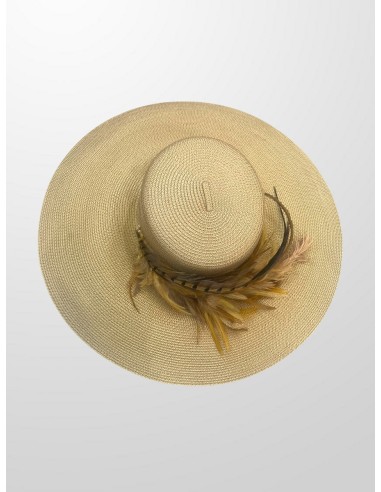 Alquilar Pamela Faisán