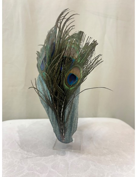 Alquilar diadema Pavo Real