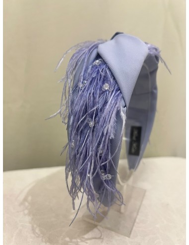 Alquilar diadema Lavanda