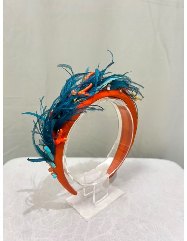 Alquilar diadema Corales