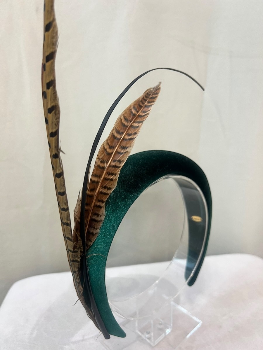 Alquilar diadema Bosque 2