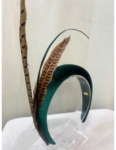 Alquilar diadema Bosque