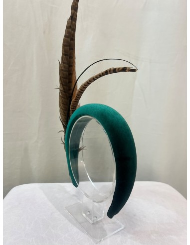 Alquilar diadema Bosque