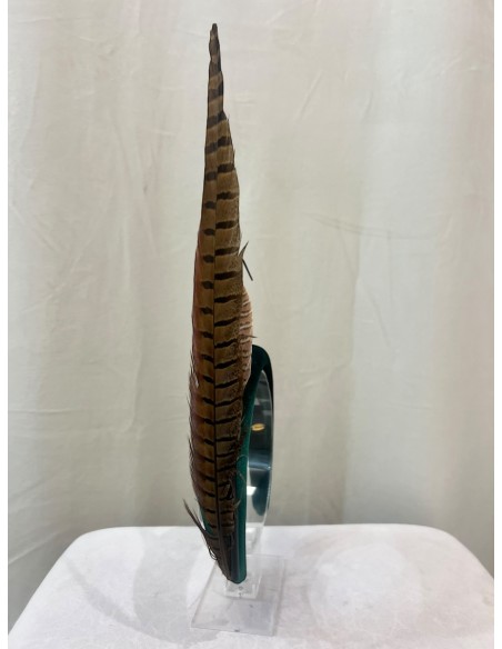 Alquilar diadema Bosque