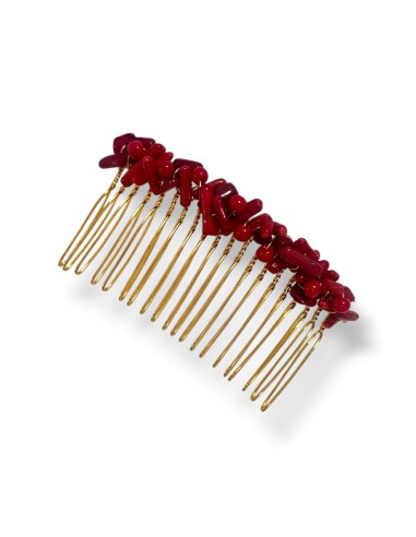 Peinecillo coralitos