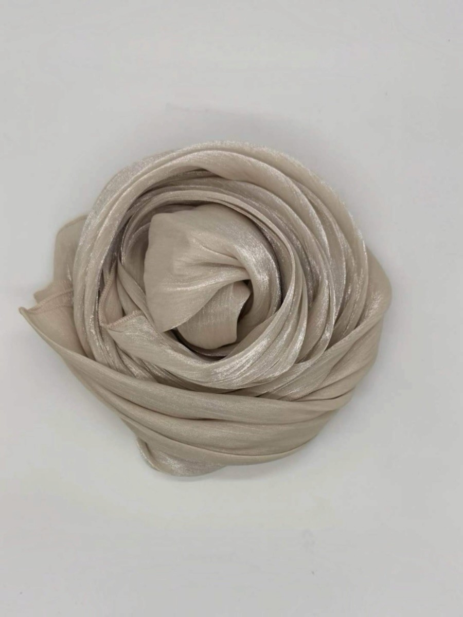 Capa de organza 2