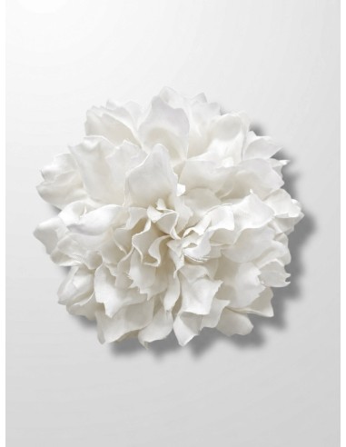 Dalia