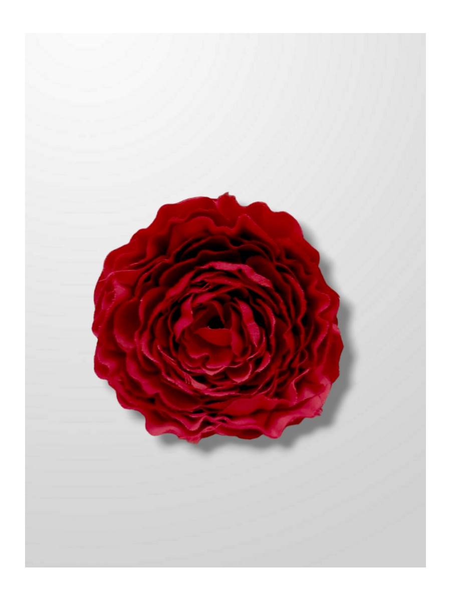 Rosa del cardenal