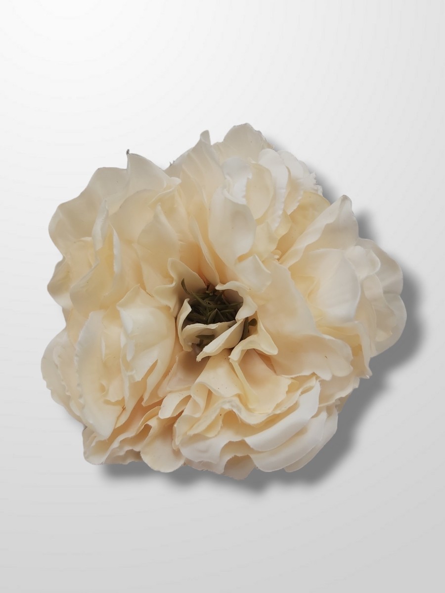 Peonia vintage 2